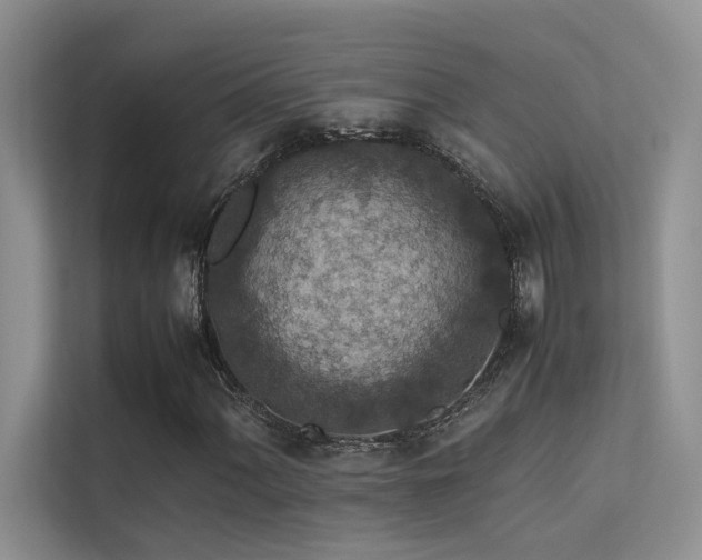 X0000113311060200909141307