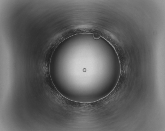 X0000113311062200909141307