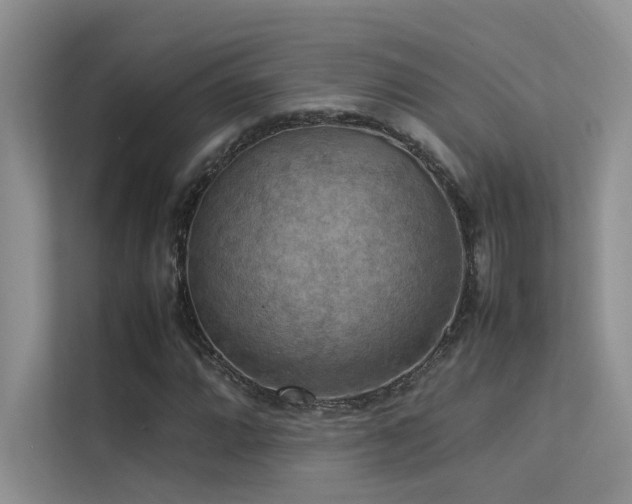 X0000113311064200909141307