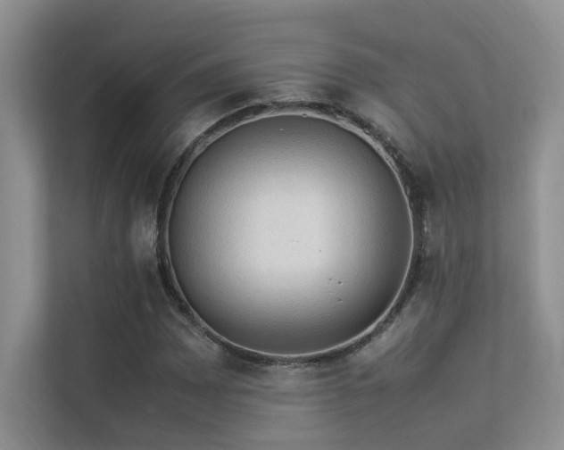 X0000113311065200909141307