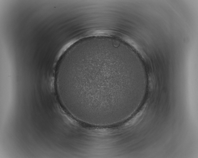 X0000113311066200909141307