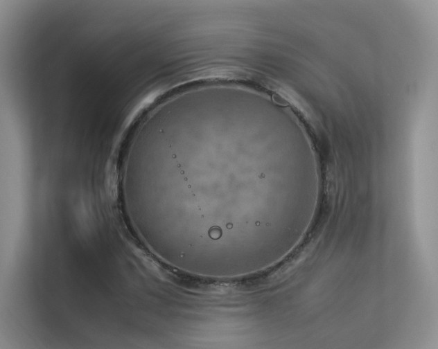 X0000113311067200909141307