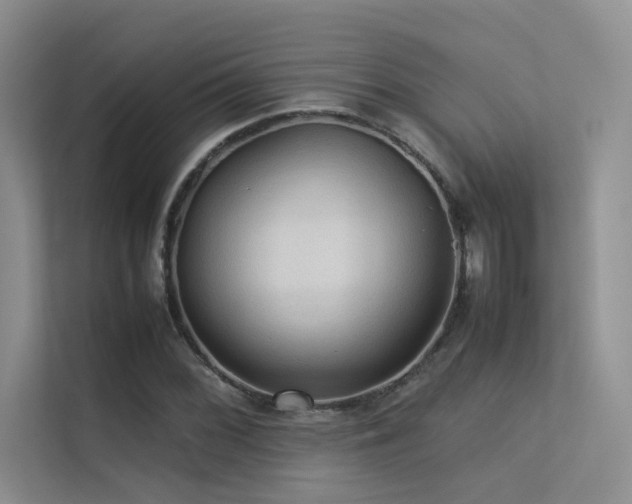 X0000113311068200909141307