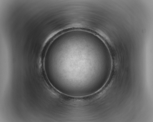 X0000113311070200909141307