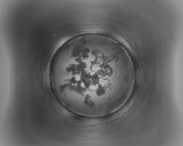 X0000113311071200909141307