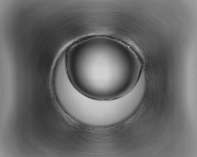 X0000113311072200909141307