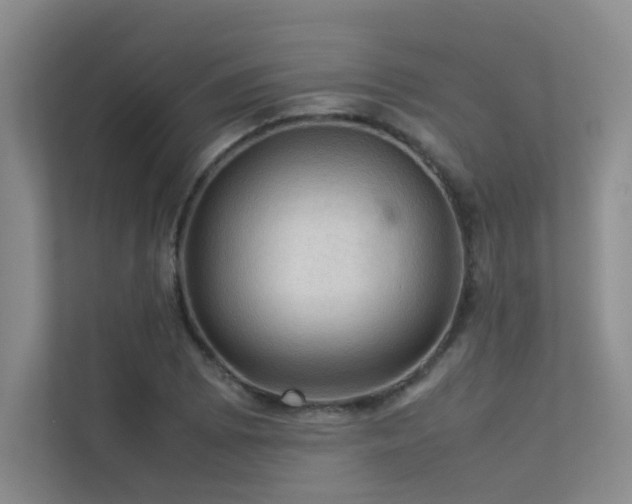 X0000113311073200909141307