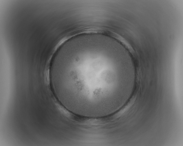 X0000113311075200909141307