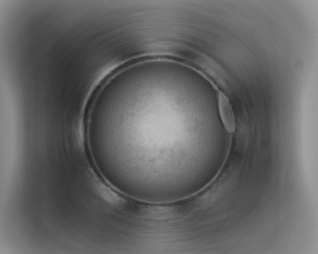 X0000113311076200909141307