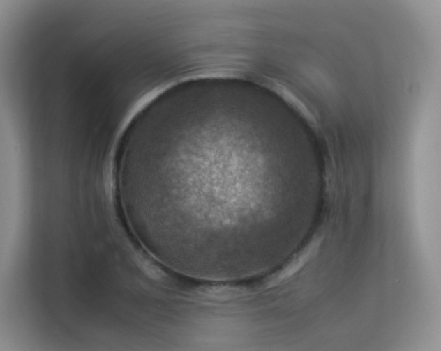 X0000113311077200909141307