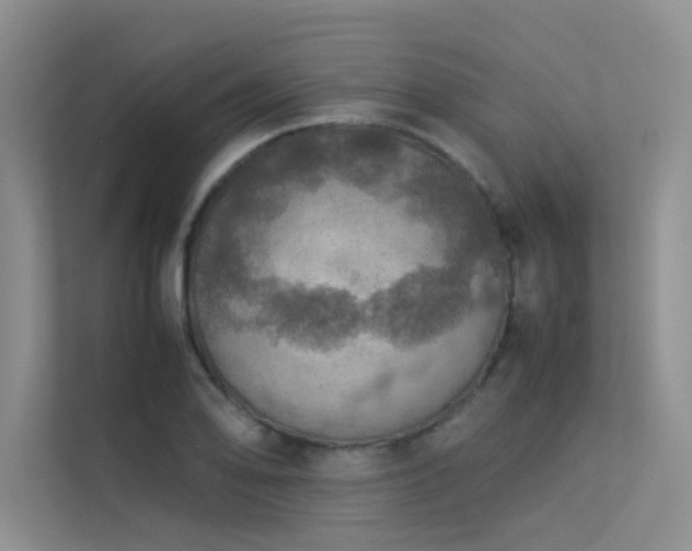 X0000113311078200909141307