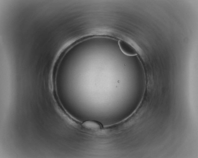 X0000113311080200909141307