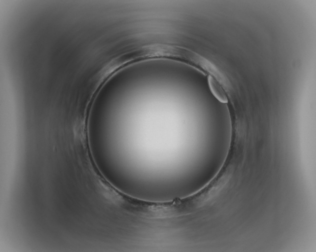 X0000113311089200909141307