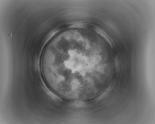 X0000113311090200909141307