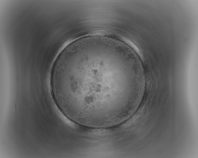 X0000113311091200909141307