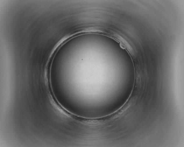 X0000113311092200909141307