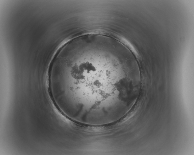 X0000113311095200909141307