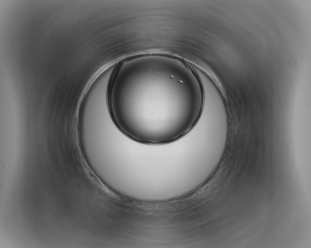 X0000113311096200909141307