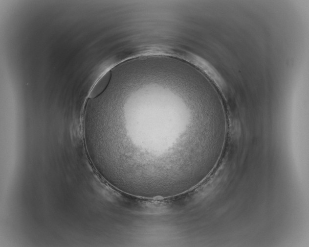 X0000113311097200909141307