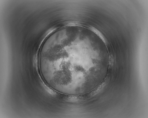 X0000113311098200909141307