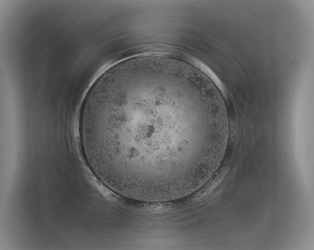 X0000113311099200909141307