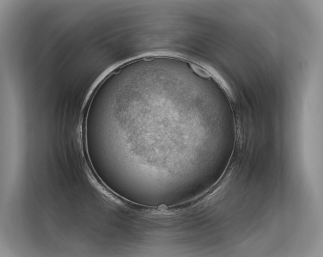 X0000113311100200909141307