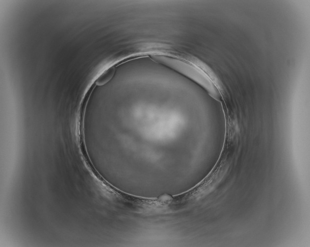 X0000113311101200909141307