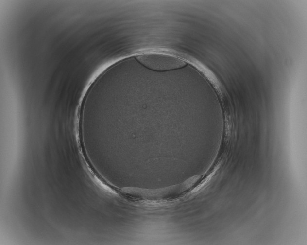 X0000113311102200909141307