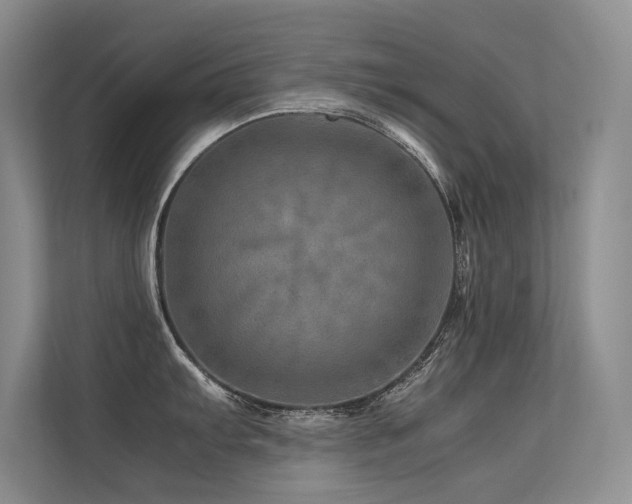 X0000113311103200909141307