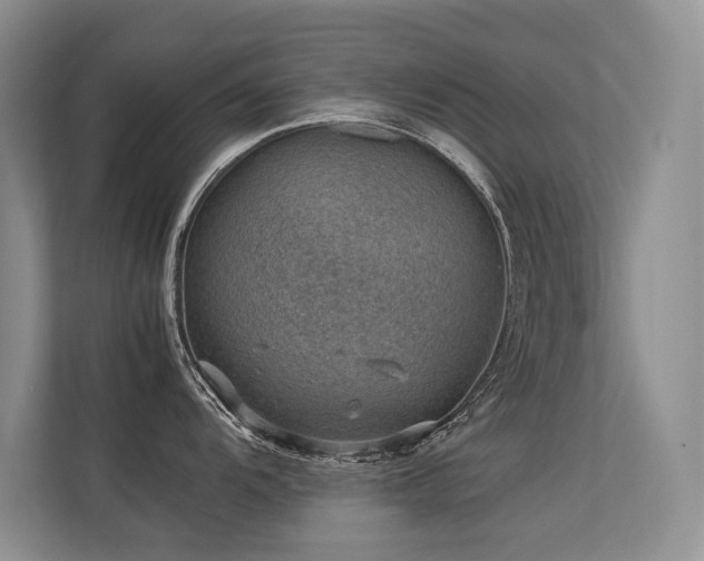 X0000113311104200909141307