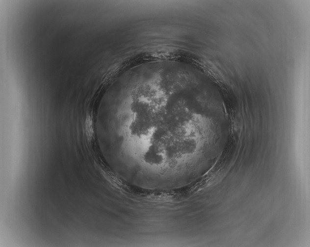 X0000113311106200909141306