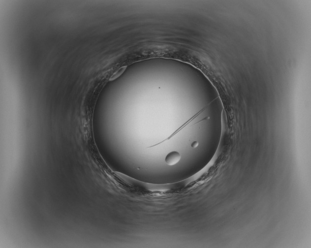 X0000113311109200909141306