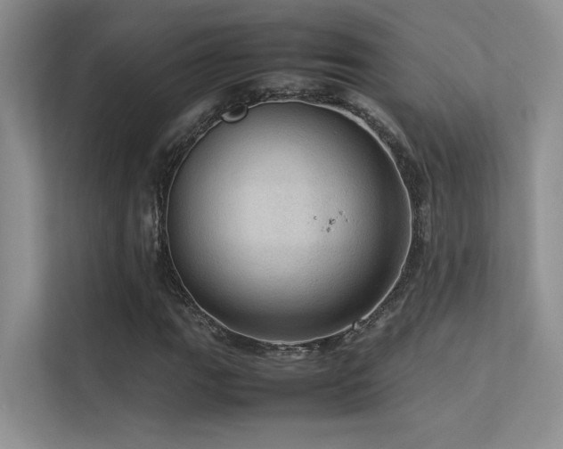 X0000113311111200909141306