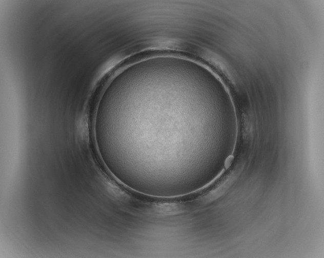 X0000113311114200909141306