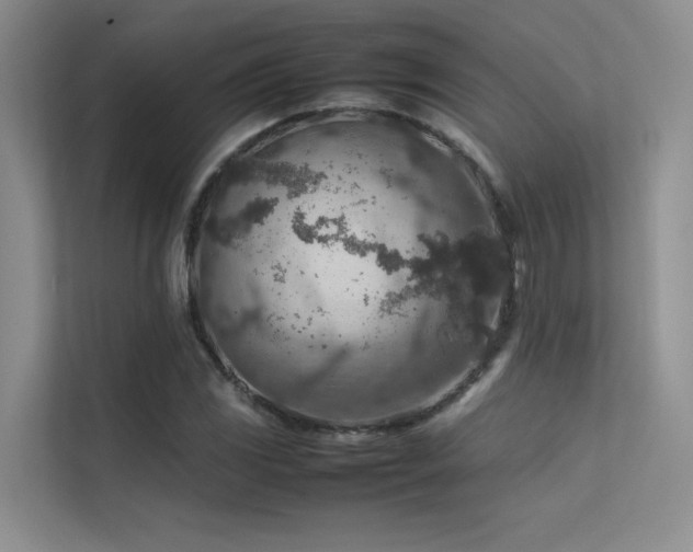 X0000113311117200909141306