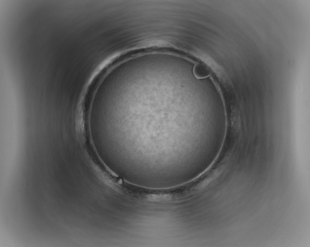 X0000113311118200909141306