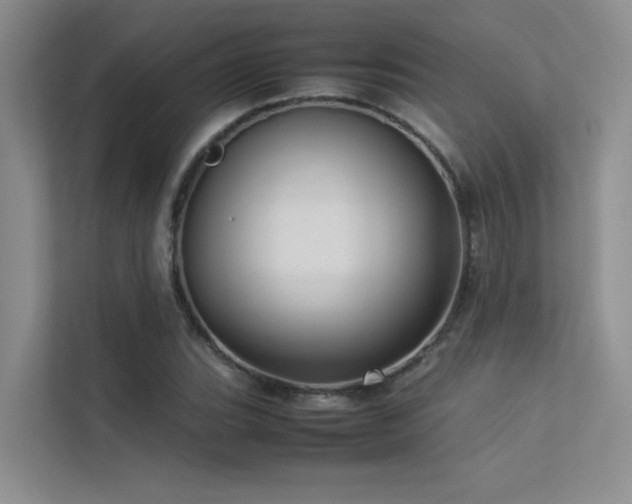 X0000113311119200909141306