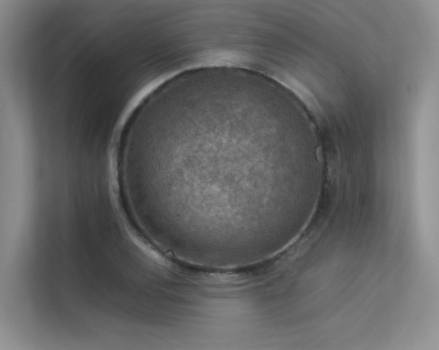 X0000113311120200909141306