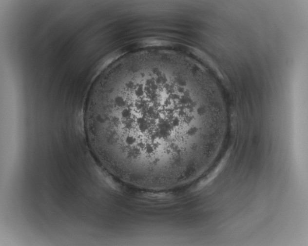 X0000113311121200909141306