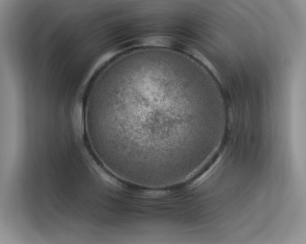 X0000113311123200909141306