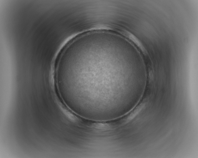 X0000113311124200909141306