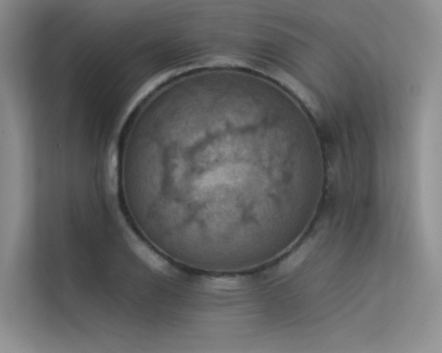 X0000113311126200909141306