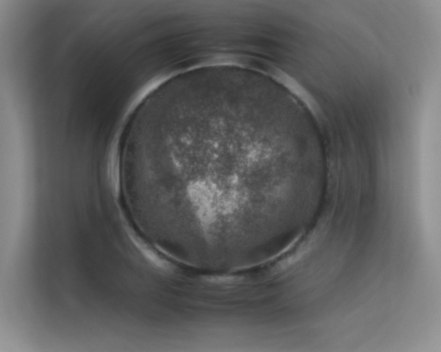 X0000113311127200909141306