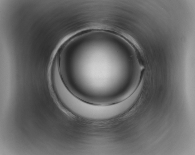 X0000113311128200909141306