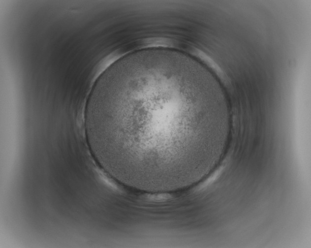 X0000113311129200909141306