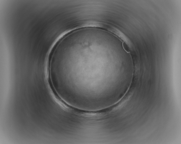 X0000113311132200909141306