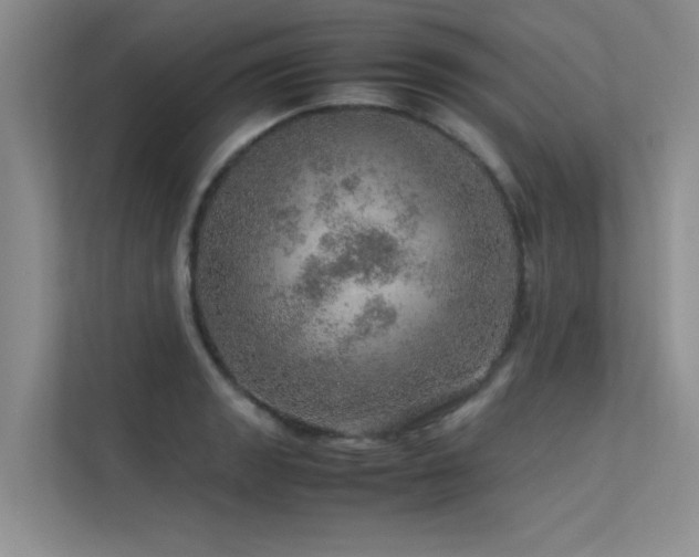 X0000113311133200909141306