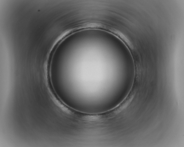 X0000113311134200909141306