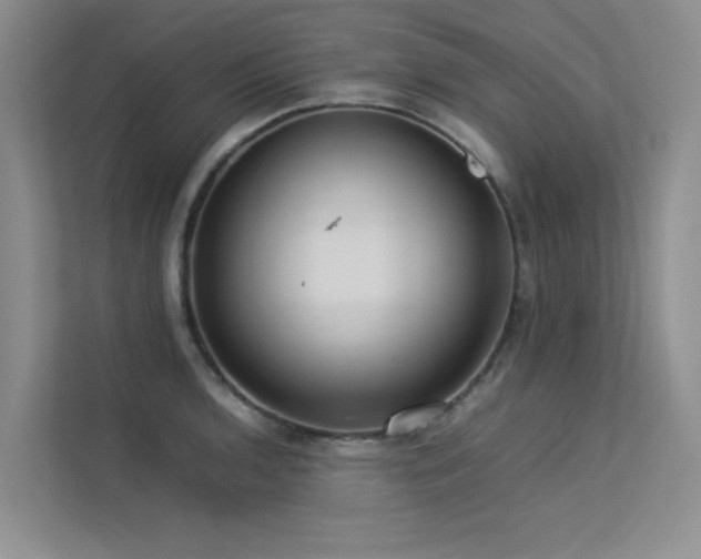 X0000113311136200909141306