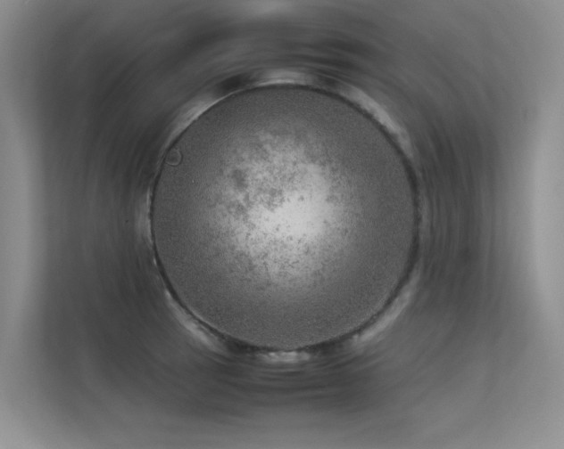 X0000113311137200909141306